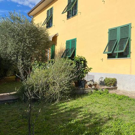 Le Siepi Apartment Reggello Exterior foto